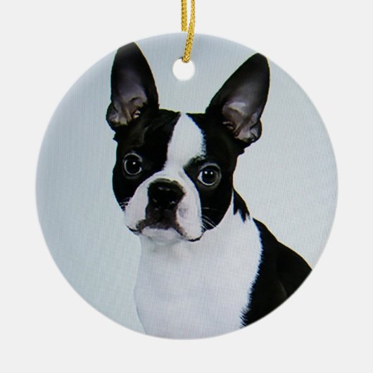 BOSTON TERRIER ORNAMENT (Voorkant)