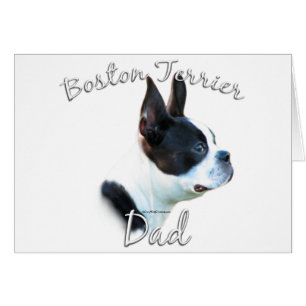 Boston Terrier Pa 2