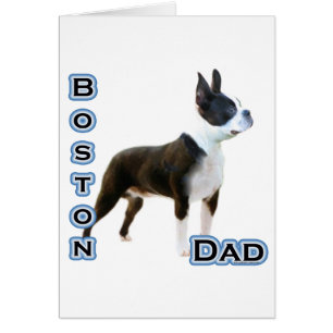 Boston Terrier Pa 4