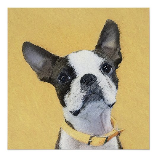 Boston Terrier Painting - Cute Original Dog Art Perfect Poster (Voorkant)