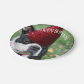 Boston Terrier Papieren Bordje (Gekanteld)