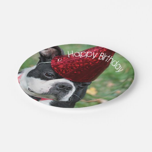 Boston Terrier Papieren Bordje (Gekanteld)