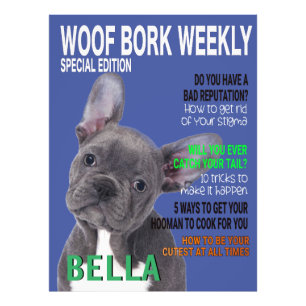 Boston Terrier Parody Magazine Hoesje Foto Afdruk