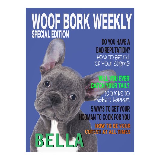 Boston Terrier Parody Magazine Hoesje Foto Afdruk (Voorkant)