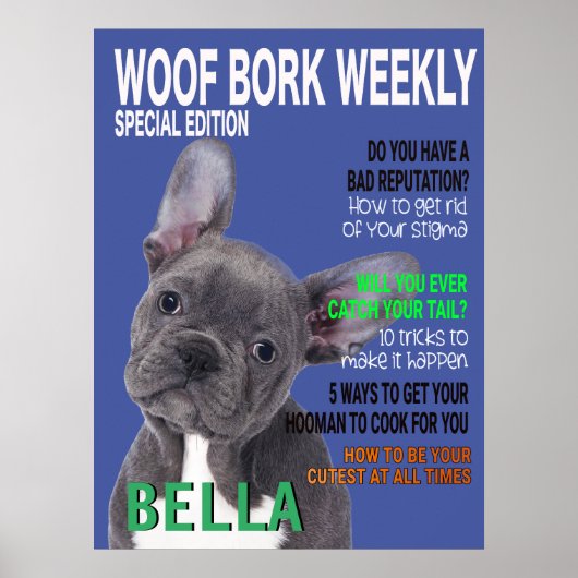 Boston Terrier Parody Magazine Hoesje Poster (Voorkant)