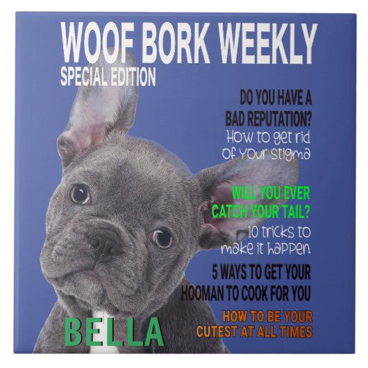 Boston Terrier Parody Magazine Hoesje Tegeltje (Voorkant)