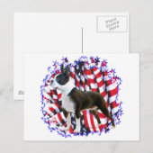 Boston Terrier Patriot Briefkaart (Voorkant / Achterkant)