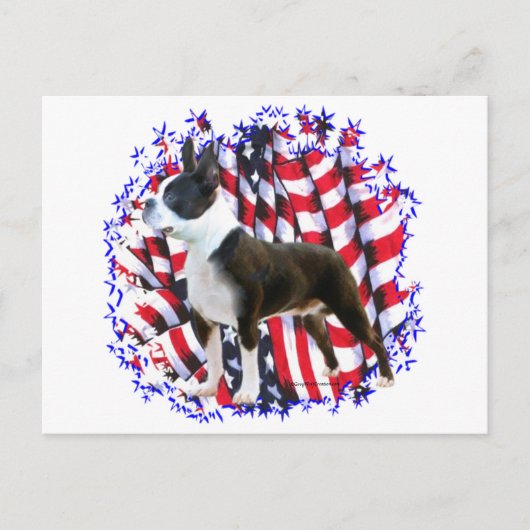 Boston Terrier Patriot Briefkaart (Voorkant)