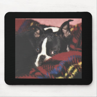 Boston Terrier:  Peek-a-Boo Muismat