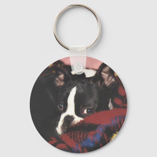 Boston Terrier: Peek-a-Boo Sleutelhanger (Voorkant)