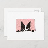 Boston Terrier Peeking Briefkaart (Voorkant / Achterkant)