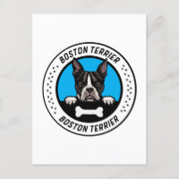 Boston Terrier Peeking Illustration Badge