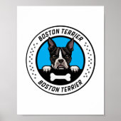 Boston Terrier Peeking Illustration Badge Poster (Voorkant)