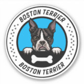 Boston Terrier Peeking Illustration Badge Sticker (Voorkant)