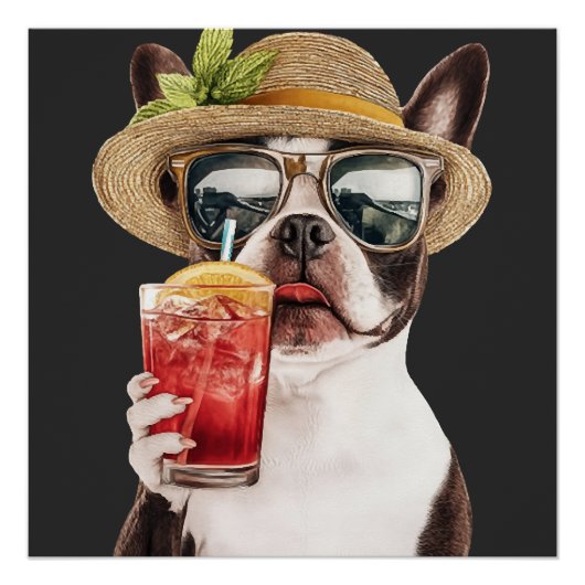 Boston Terrier Perfect Poster (Voorkant)