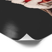 Boston Terrier Perfect Poster (Hoek)