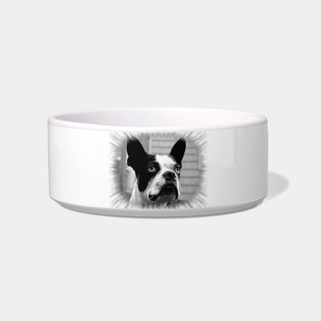 Boston Terrier Pet Bowl Voerbakje (Voorkant)