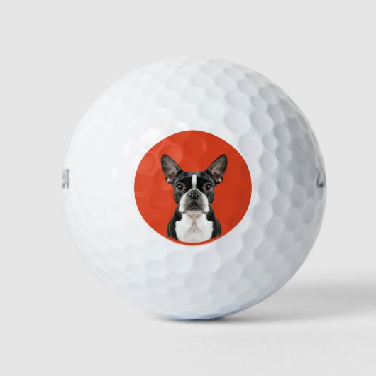 Boston Terrier Pet Theme Golfballen (Voorkant)