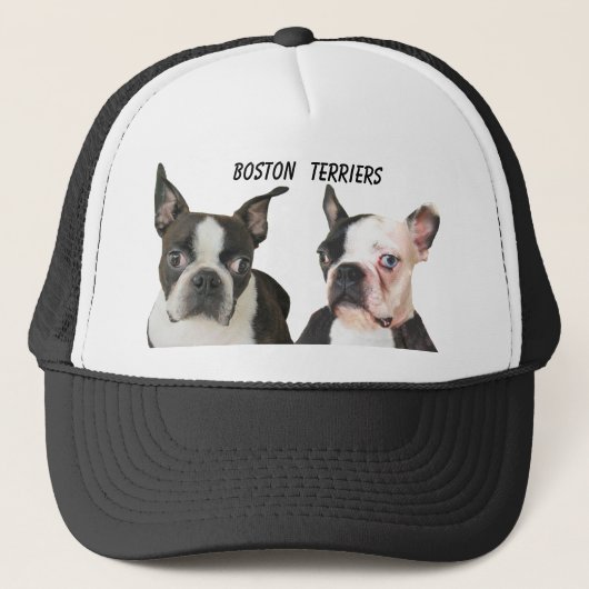 BOSTON TERRIER-PET TRUCKER PET (Voorkant)