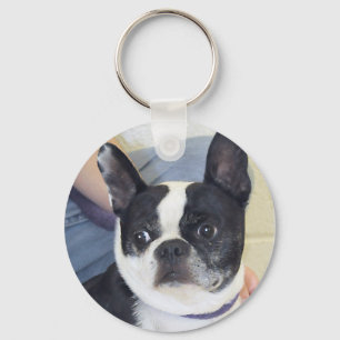 Boston Terrier Photo Sleutelhanger