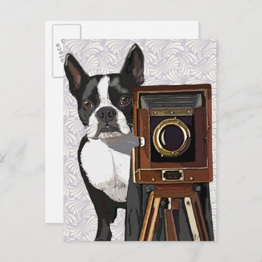 Boston Terrier Photographer 2 Briefkaart (Voorkant / Achterkant)