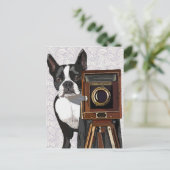 Boston Terrier Photographer 2 Briefkaart (Staand voorkant)