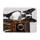 Boston Terrier Photographer 2 Magneet (Horizontaal)