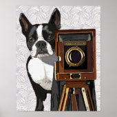 Boston Terrier Photographer Poster (Voorkant)