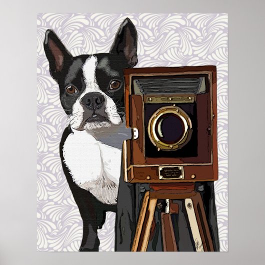 Boston Terrier Photographer Poster (Voorkant)