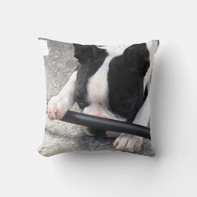 Boston Terrier Pillow Kussen (Voorkant)