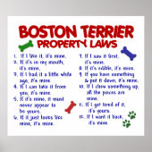 BOSTON TERRIER PL2 POSTER (Voorkant)