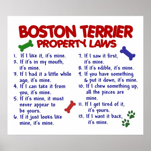 BOSTON TERRIER PL2 POSTER (Voorkant)