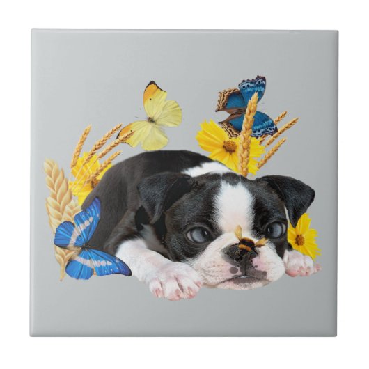 Boston Terrier Play Day Tegeltje (Voorkant)