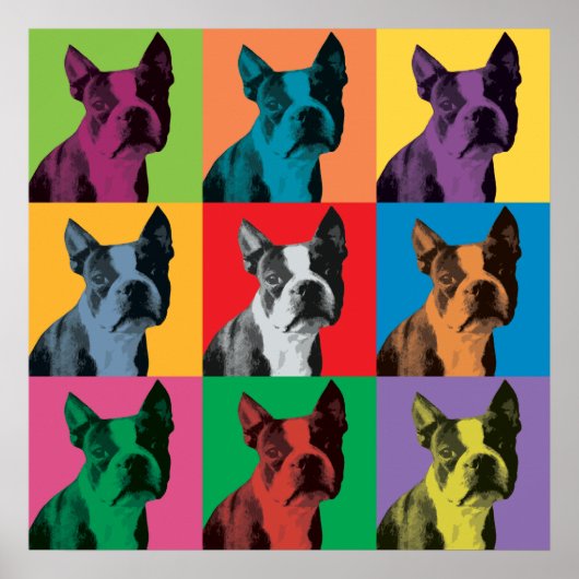 Boston Terrier Pop-Art Poster (Voorkant)