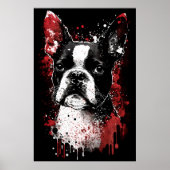 Boston Terrier Portrait Poster (Voorkant)