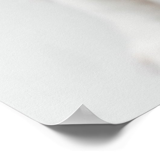 Boston Terrier Poster (Hoek)