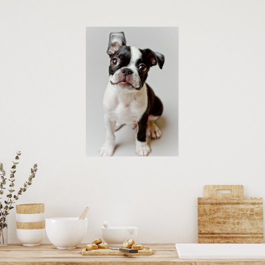 Boston Terrier Poster (Keuken)