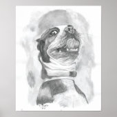 Boston Terrier Poster (Voorkant)