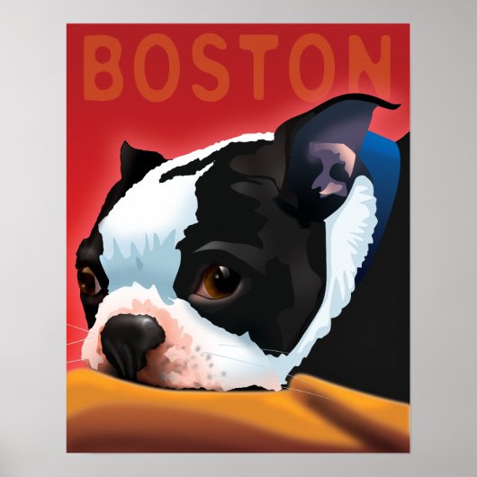 Boston Terrier Poster (Voorkant)