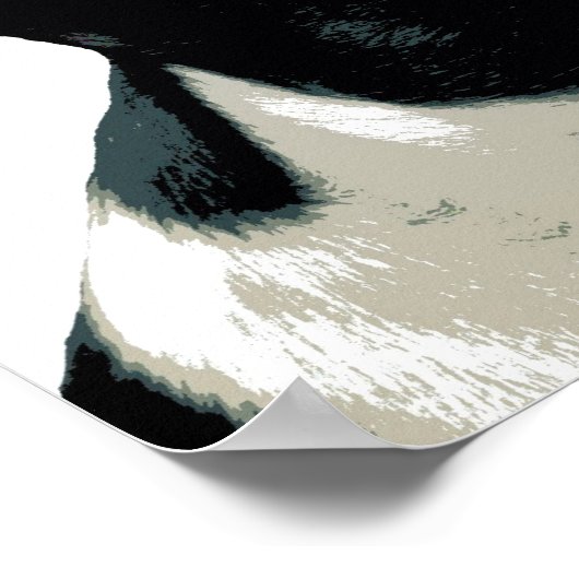 Boston Terrier Poster (Hoek)