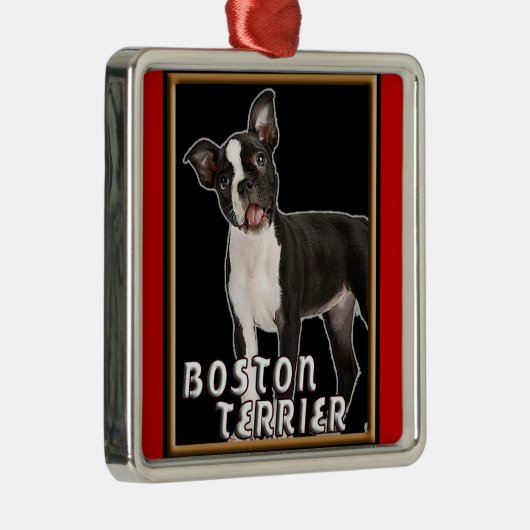 BOSTON TERRIER PREMIUM CHRISTMAS ORNAMENT (Rechts)
