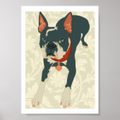 Boston Terrier Print (Voorkant)