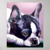 Boston Terrier Print (Voorkant)