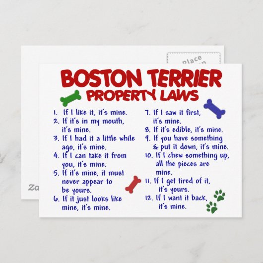 Boston Terrier Property Laws 2 Briefkaart (Voorkant / Achterkant)