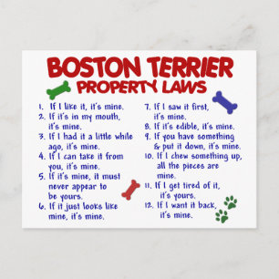 Boston Terrier Property Laws 2 Briefkaart