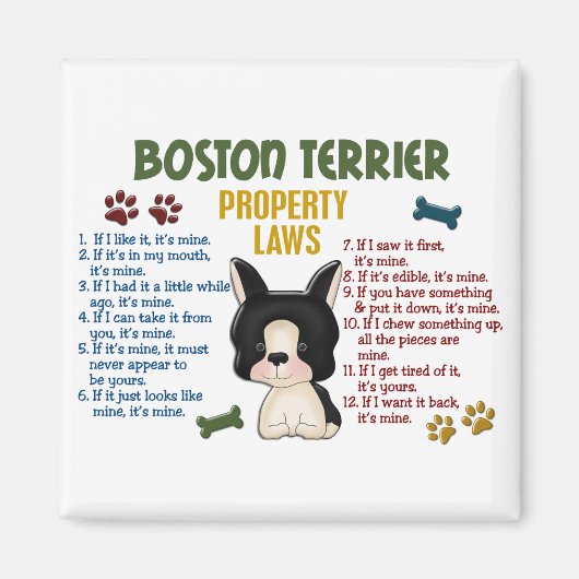 Boston Terrier Property Laws 4 Magneet (Voorkant)