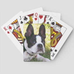 Boston Terrier Pup Deck of Cards Speelkaarten