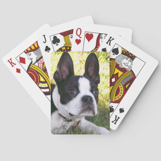 Boston Terrier Pup Deck of Cards Speelkaarten (Achterkant)