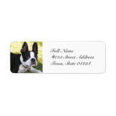 Boston Terrier Pup-maillabels Etiket (Voorkant)
