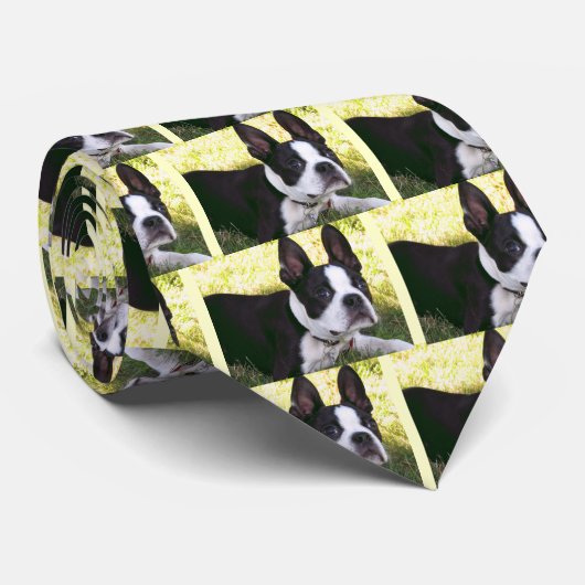 Boston Terrier Pup Necktie Stropdas (Opgerold)
